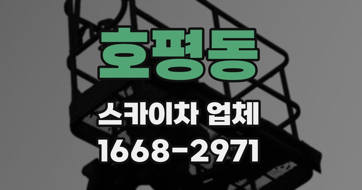호평동 스카이차 업체