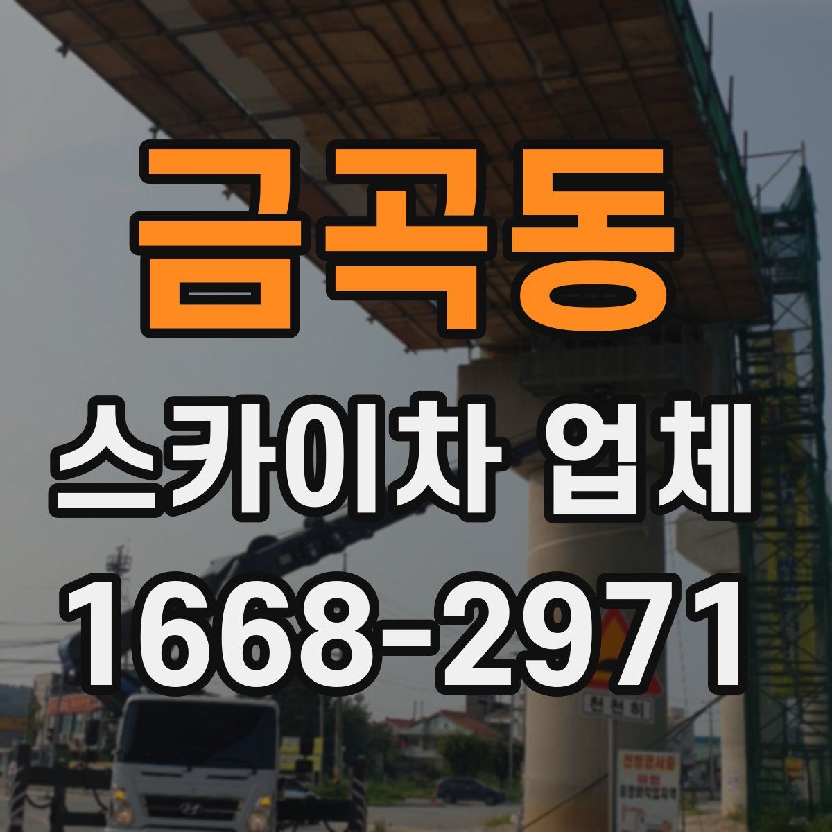 금곡동 스카이차 업체