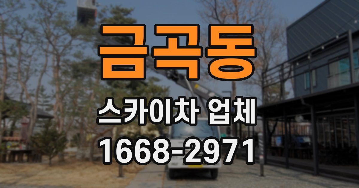 금곡동 스카이차 업체
