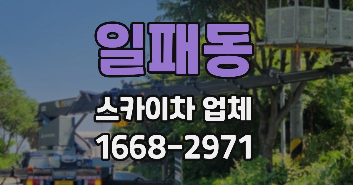 일패동 스카이차 업체