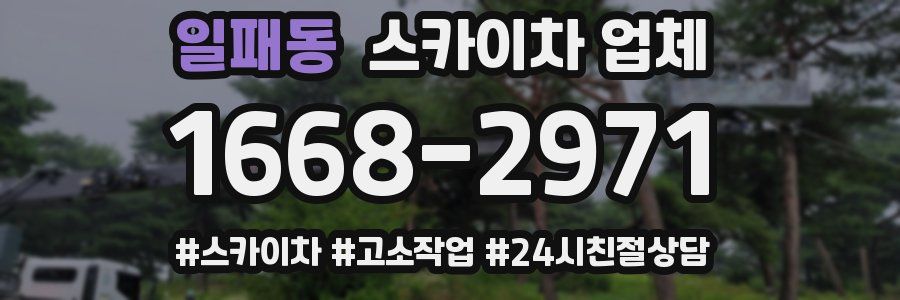 일패동 스카이차 업체