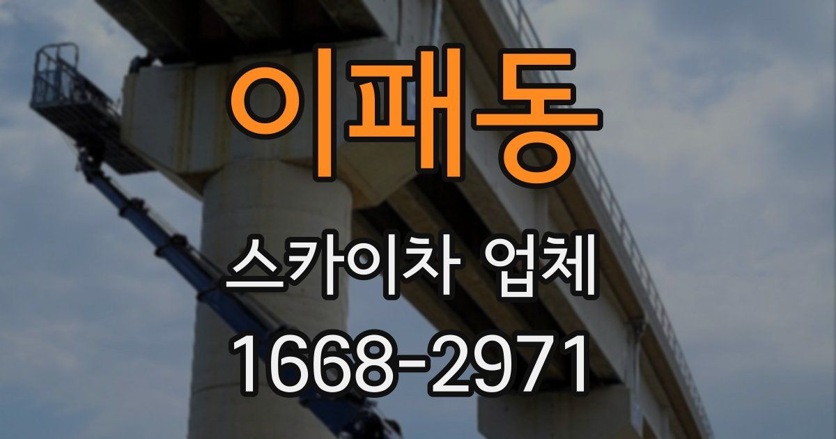 이패동 스카이차 업체