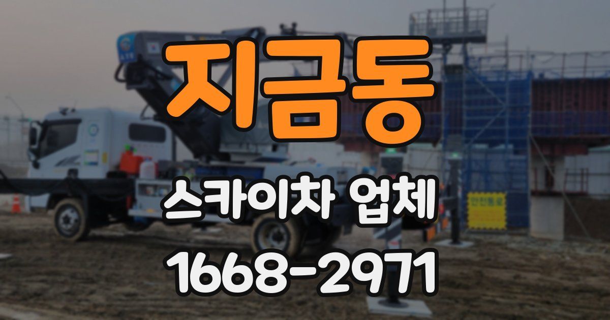 지금동 스카이차 업체