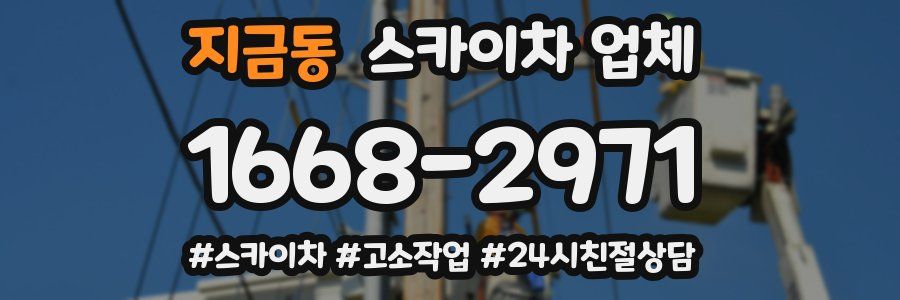 지금동 스카이차 업체