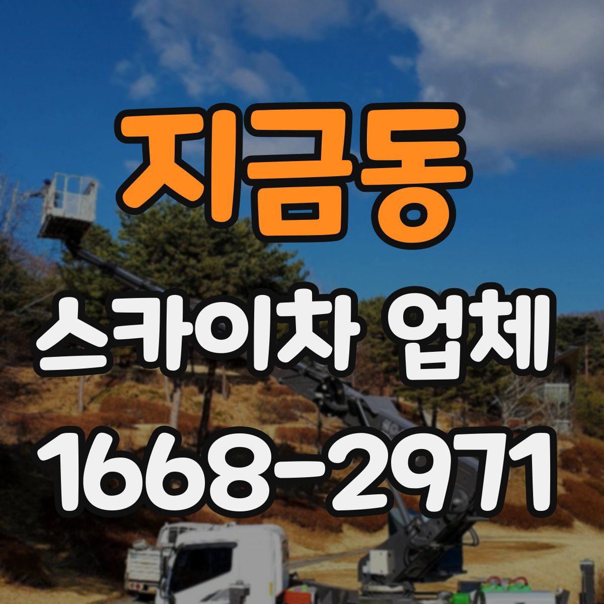 지금동 스카이차 업체