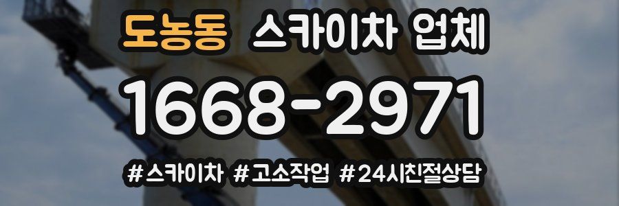 도농동 스카이차 업체