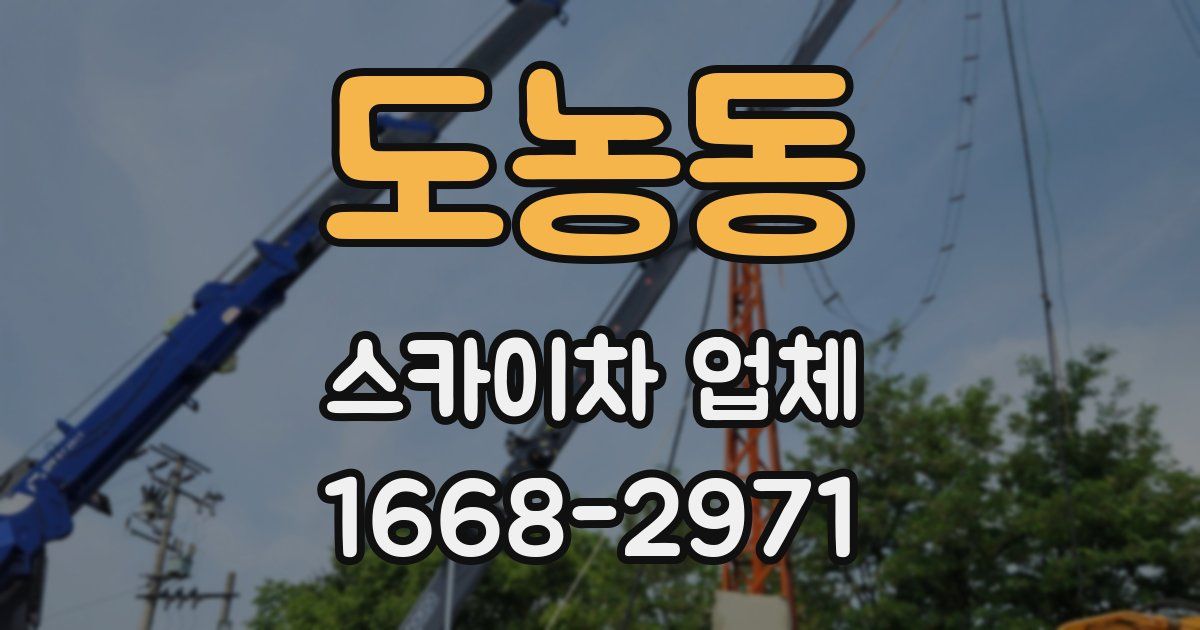도농동 스카이차 업체