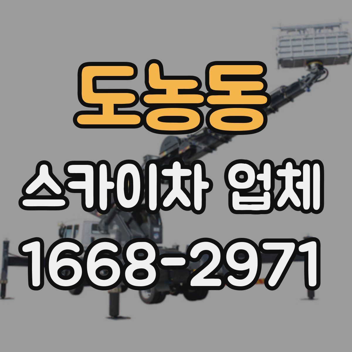 도농동 스카이차 업체