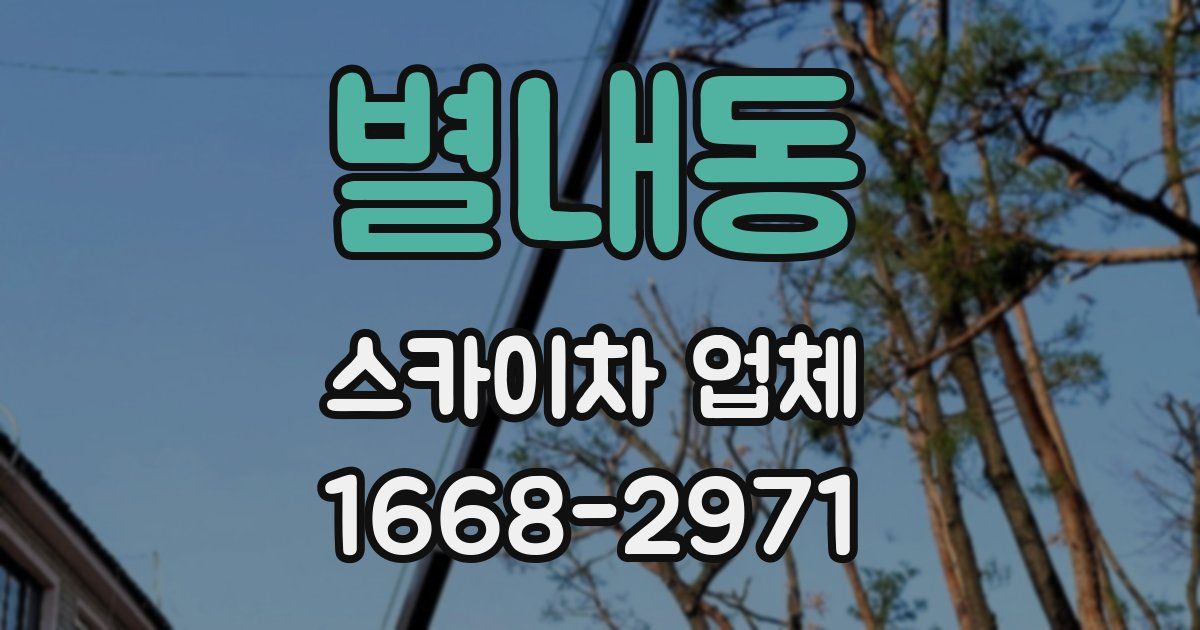 별내동 스카이차 업체