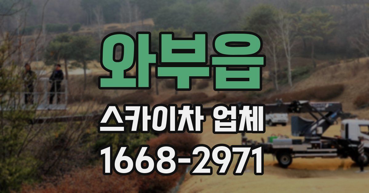 와부읍 스카이차 업체