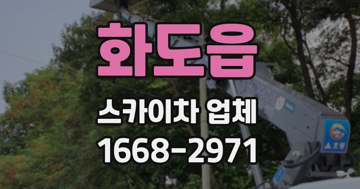 화도읍 스카이차 업체