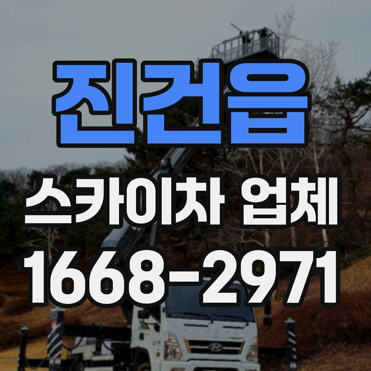 진건읍 스카이차 업체