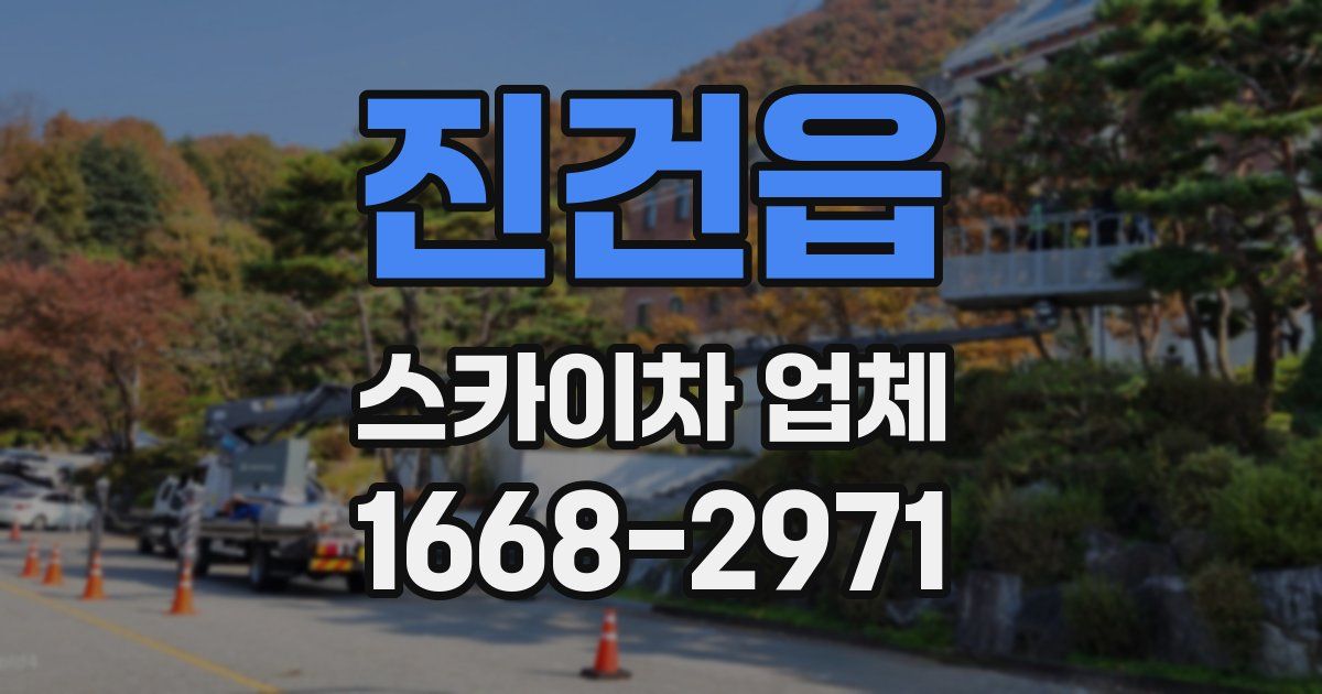 진건읍 스카이차 업체
