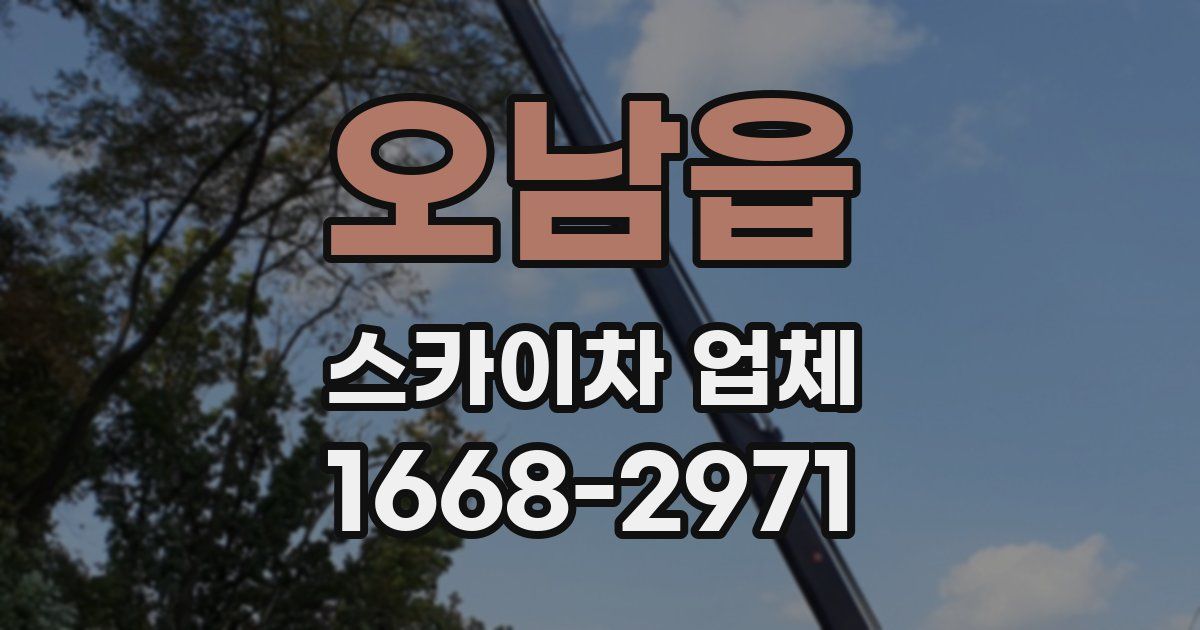 오남읍 스카이차 업체