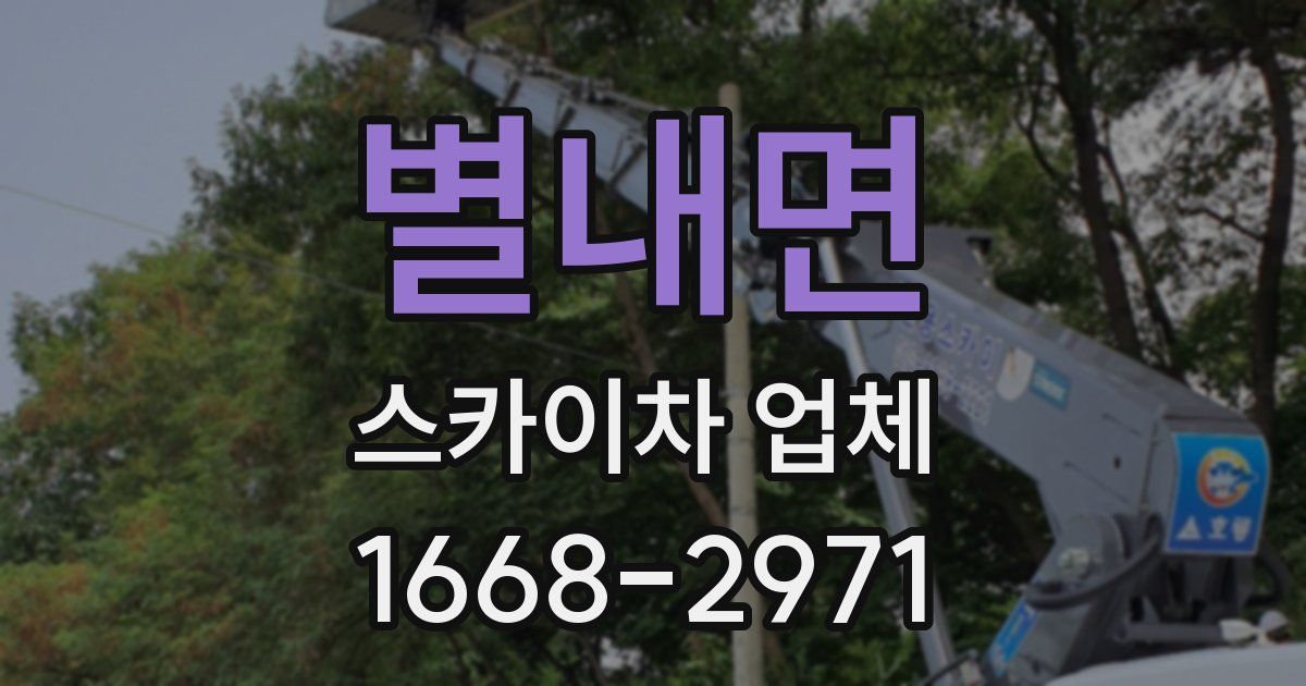 별내면 스카이차 업체