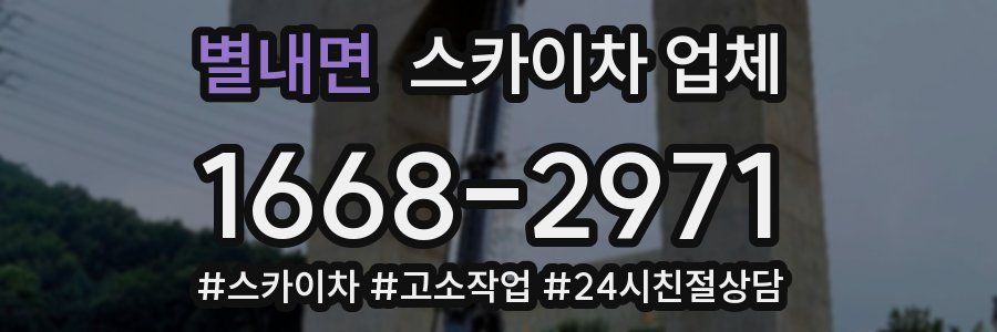 별내면 스카이차 업체