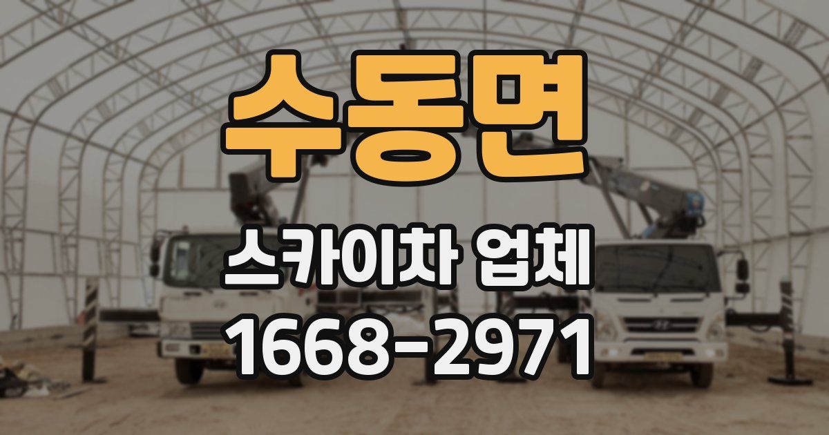 수동면 스카이차 업체