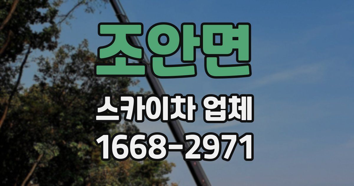 조안면 스카이차 업체