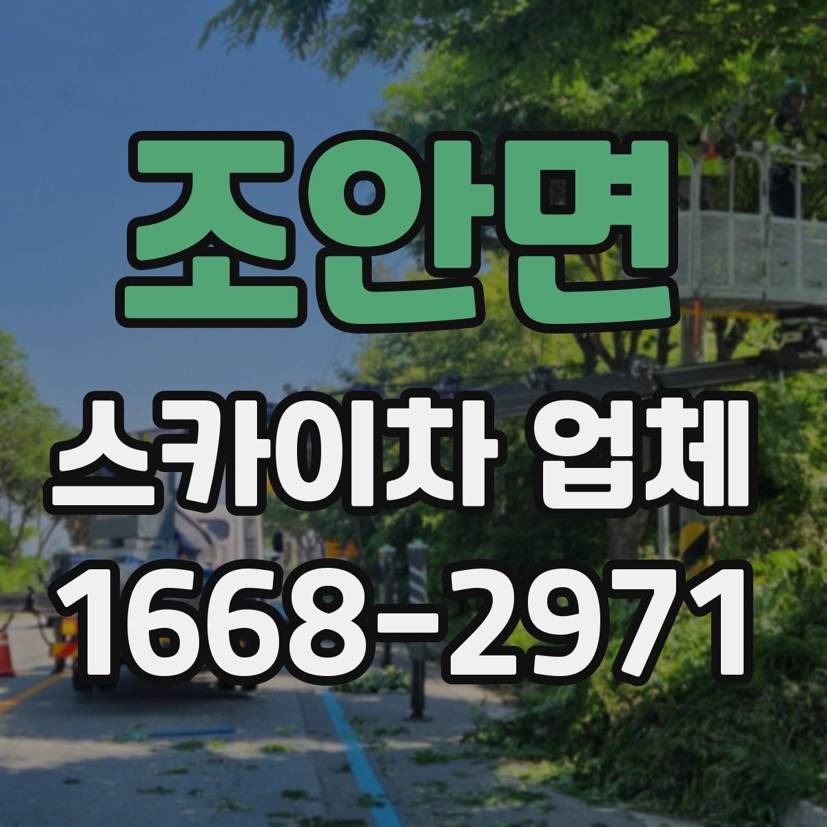 조안면 스카이차 업체