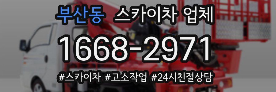 부산동 스카이차 업체