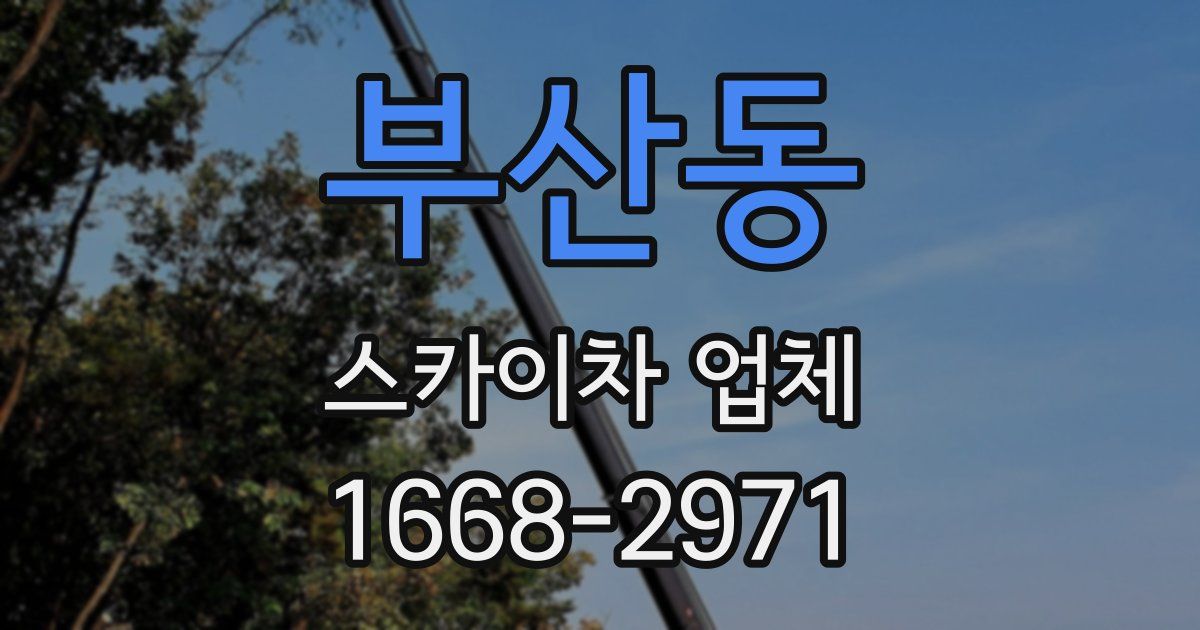 부산동 스카이차 업체