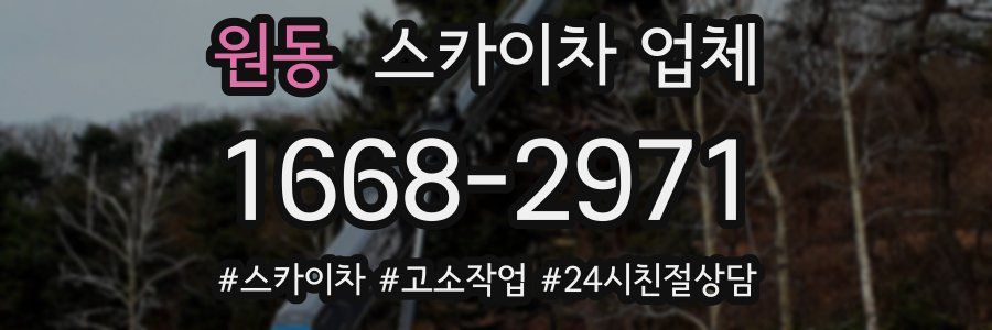 원동 스카이차 업체