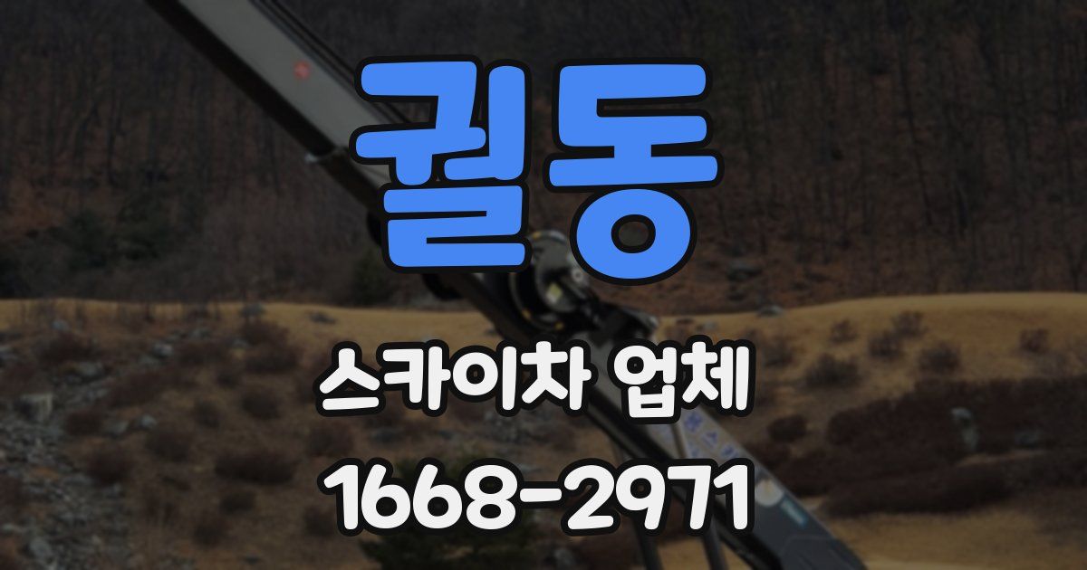 궐동 스카이차 업체
