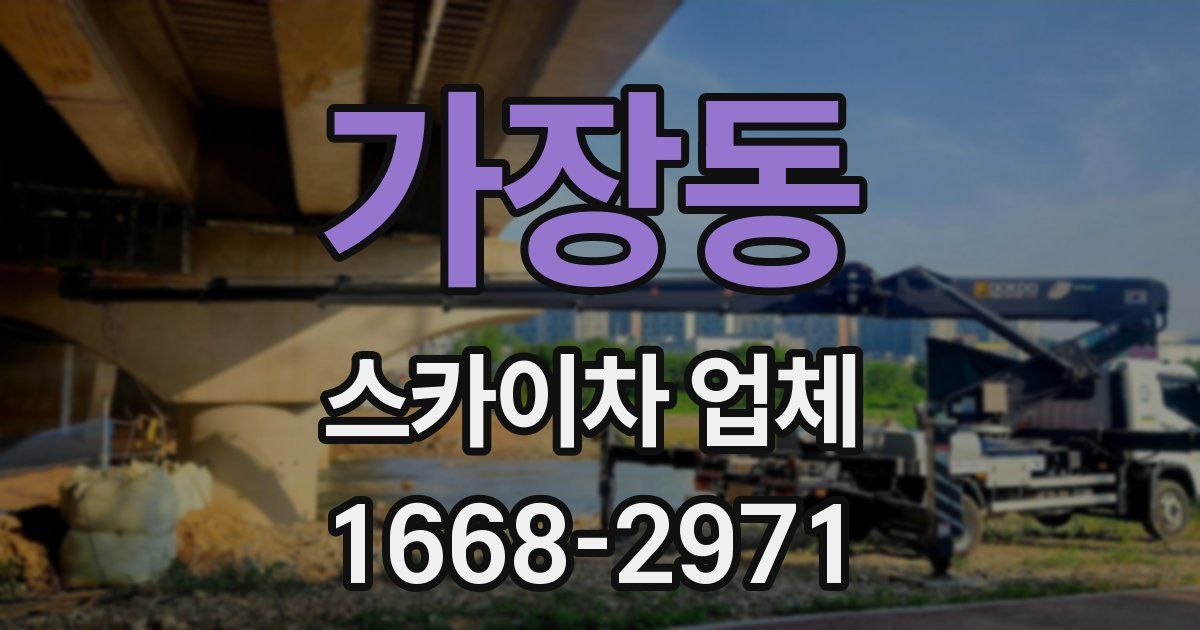 가장동 스카이차 업체