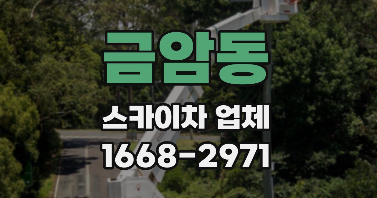 금암동 스카이차 업체