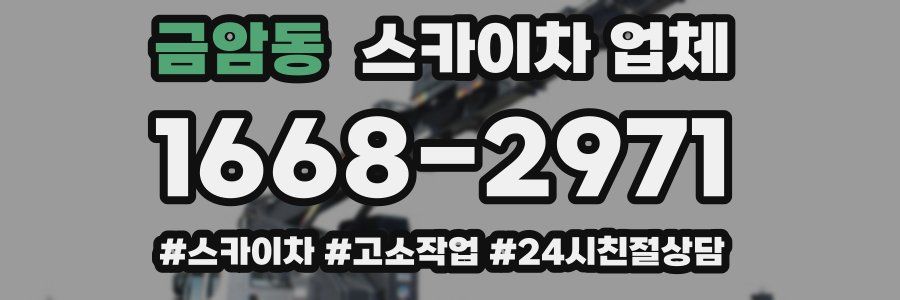 금암동 스카이차 업체