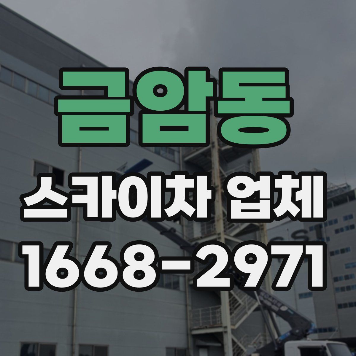 금암동 스카이차 업체