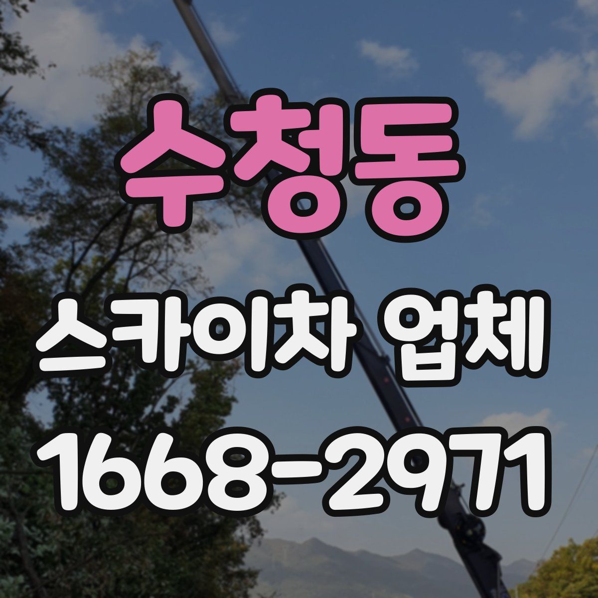 수청동 스카이차 업체