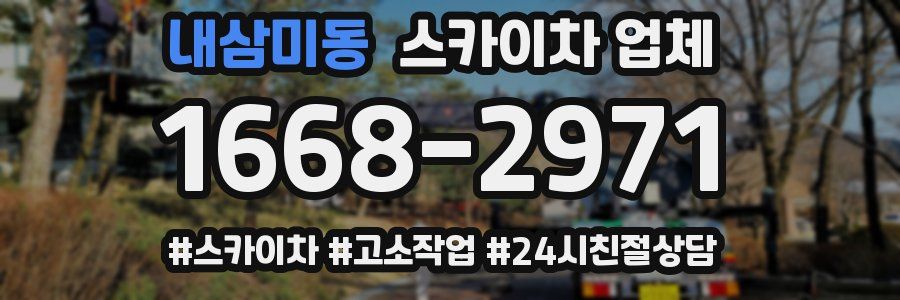 내삼미동 스카이차 업체