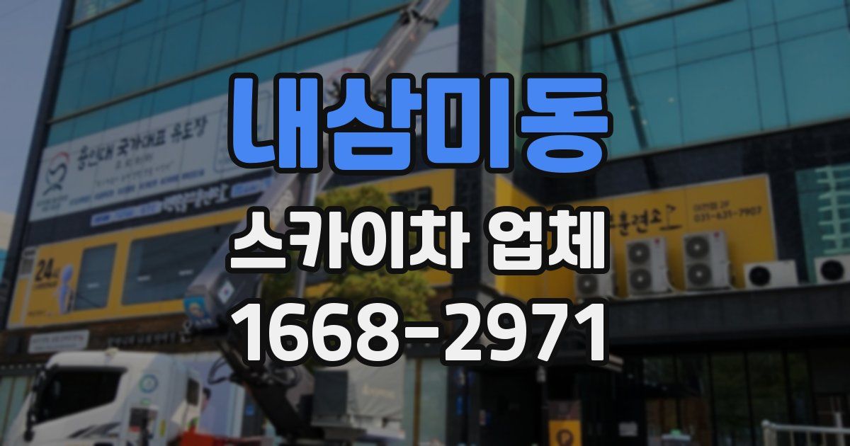 내삼미동 스카이차 업체