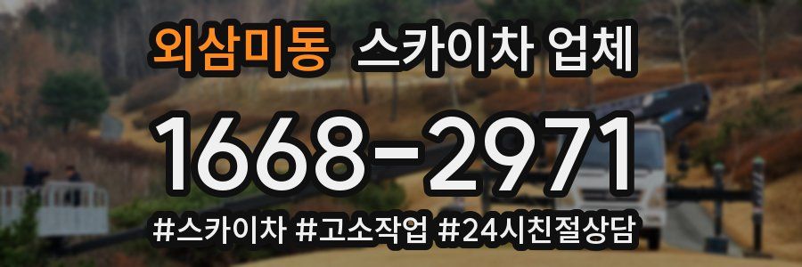 외삼미동 스카이차 업체