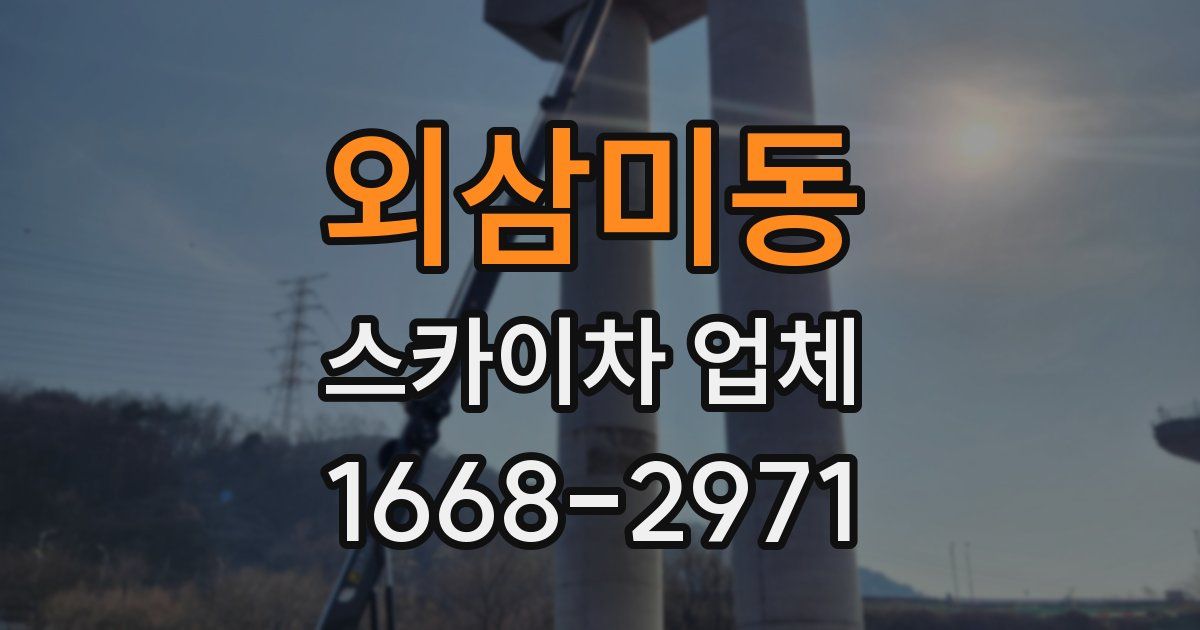 외삼미동 스카이차 업체
