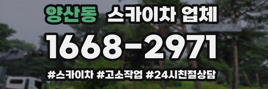 양산동 스카이차 업체