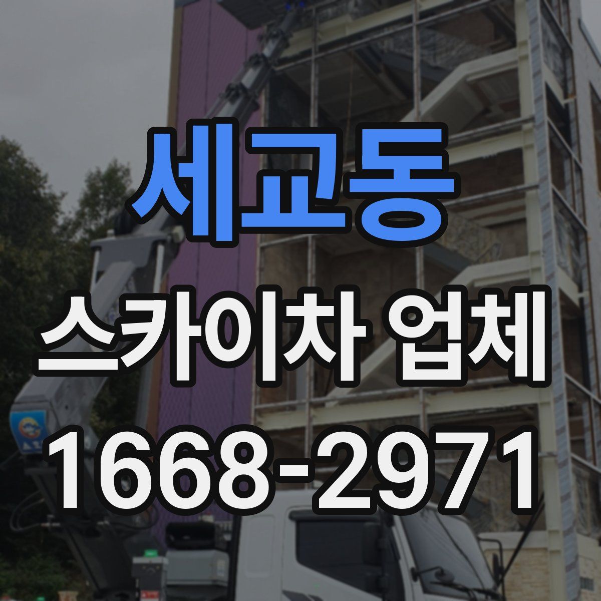 세교동 스카이차 업체