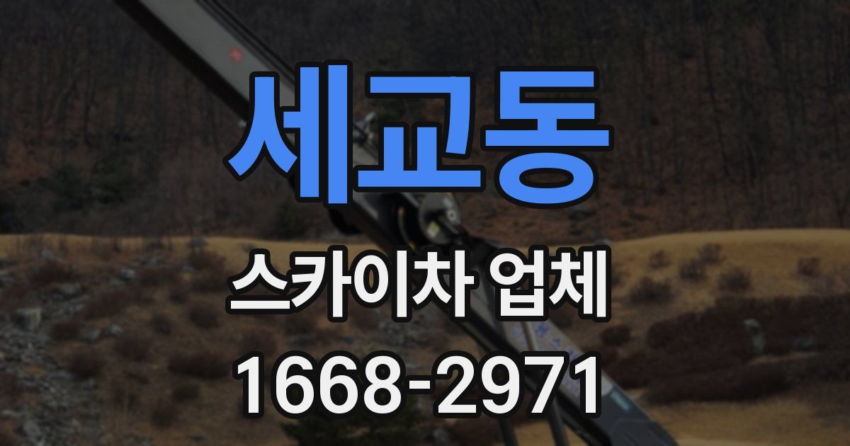 세교동 스카이차 업체
