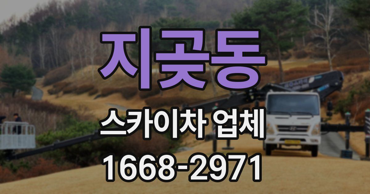 지곶동 스카이차 업체