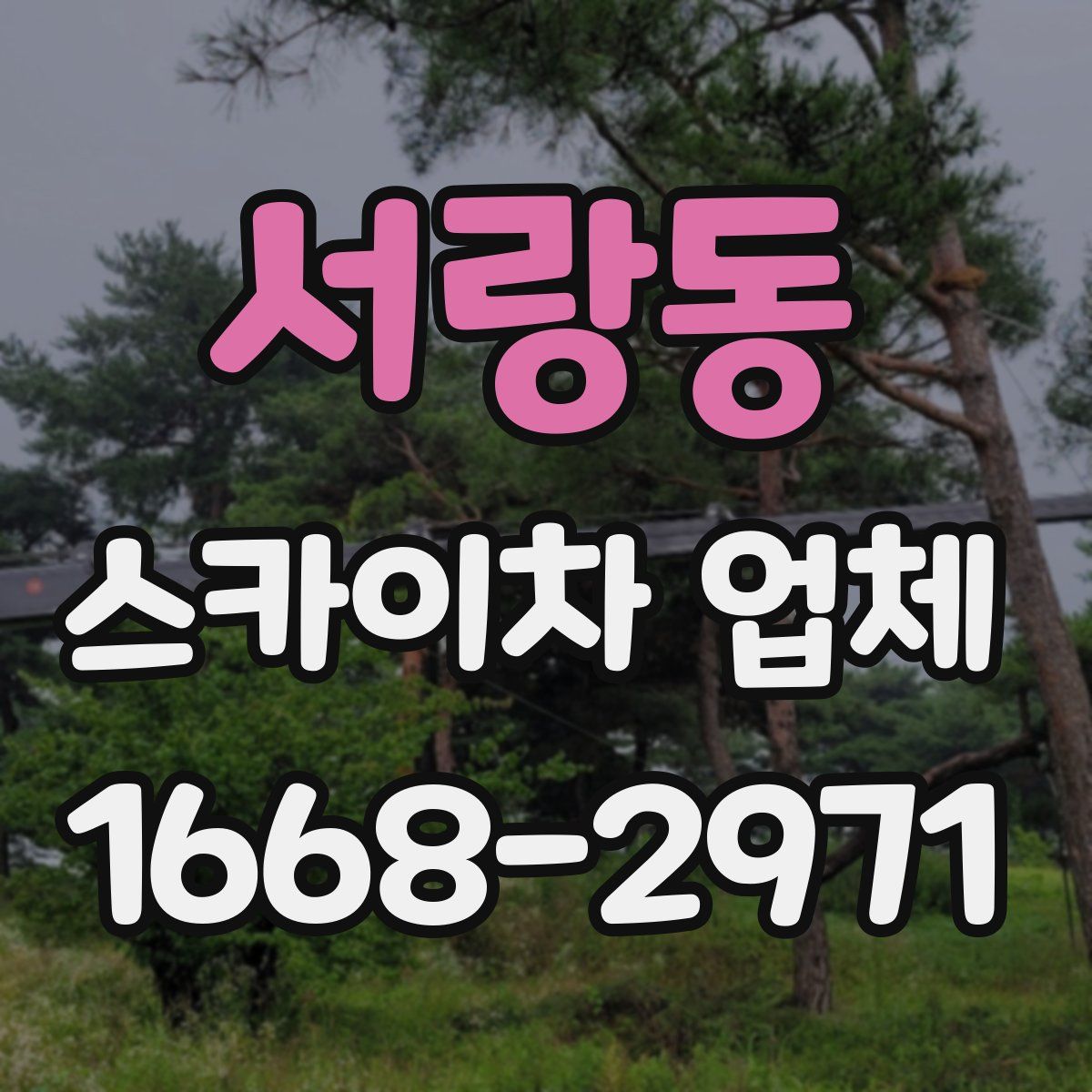 서랑동 스카이차 업체