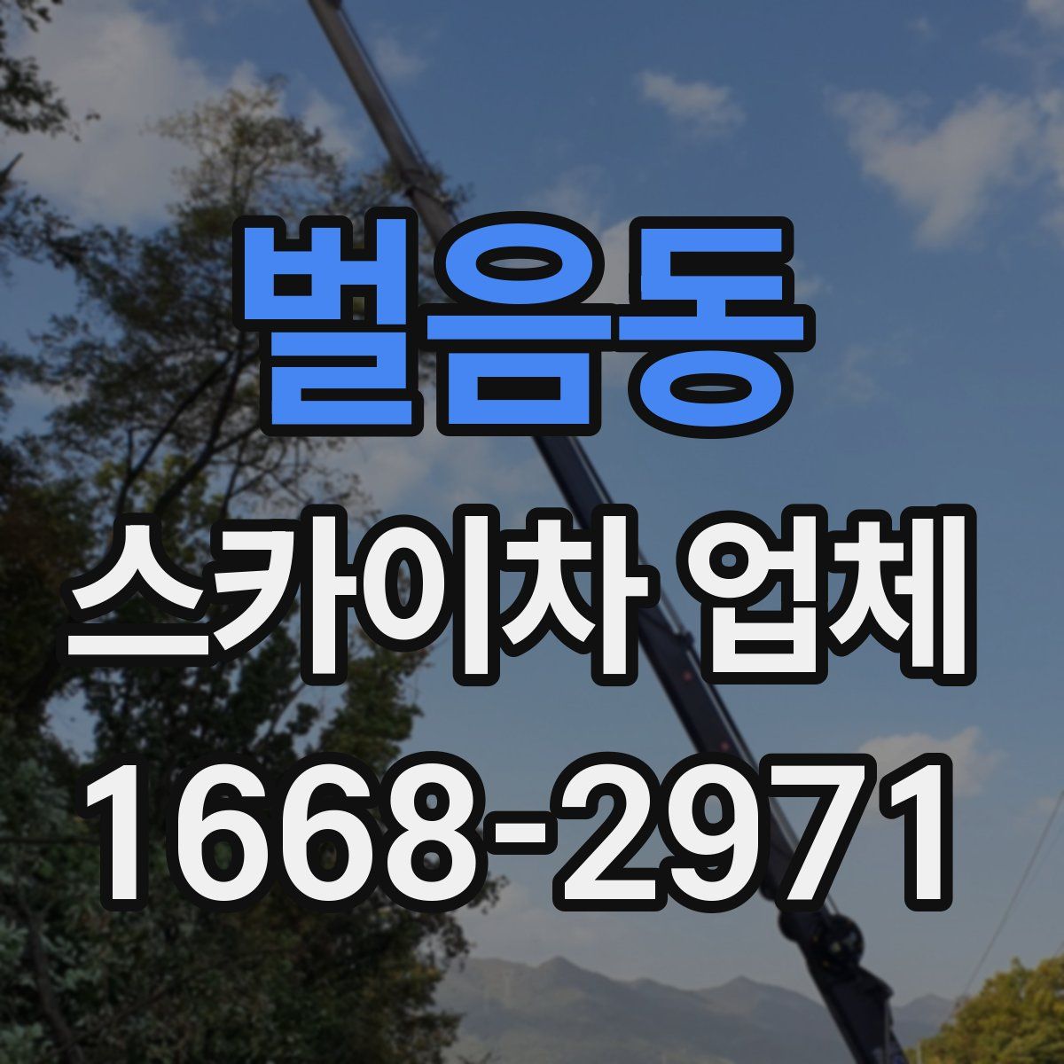 벌음동 스카이차 업체