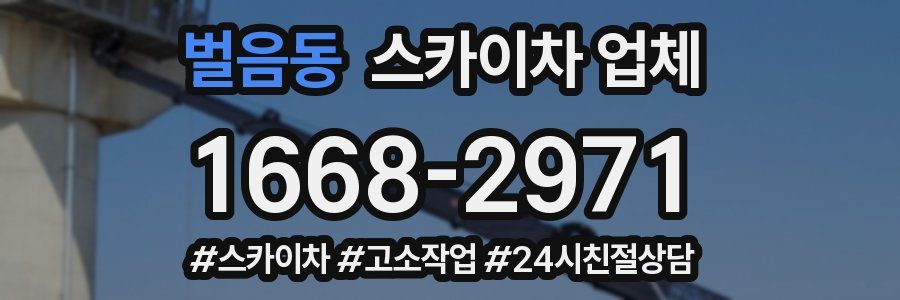 벌음동 스카이차 업체