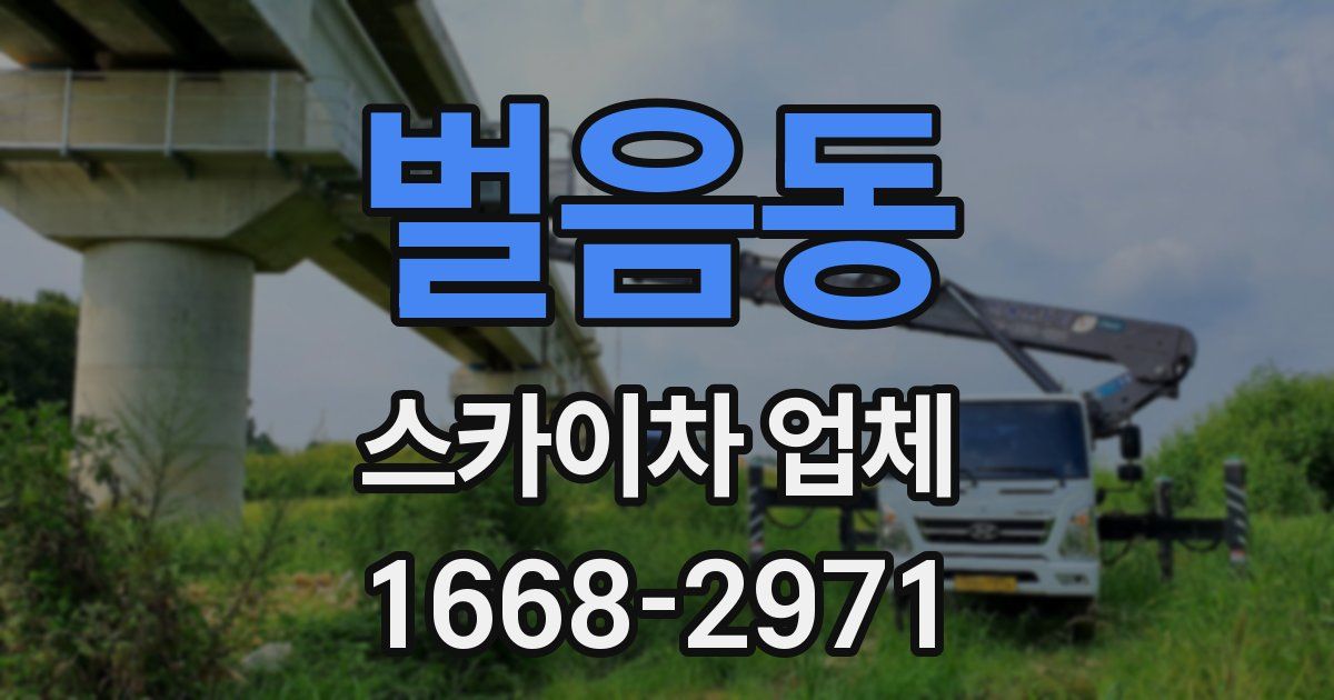 벌음동 스카이차 업체