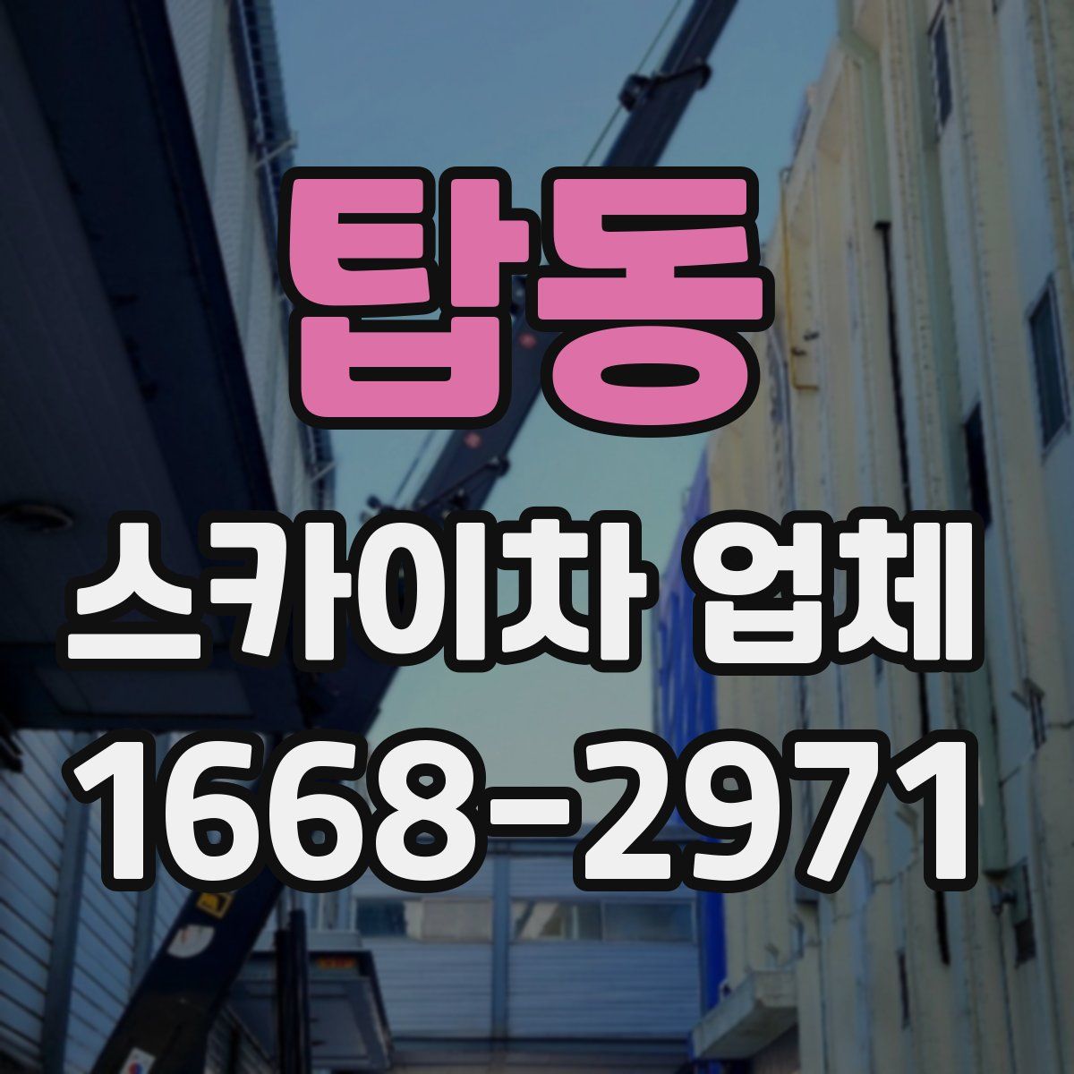 탑동 스카이차 업체
