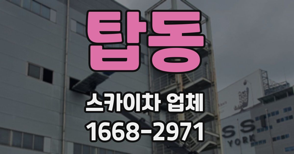탑동 스카이차 업체