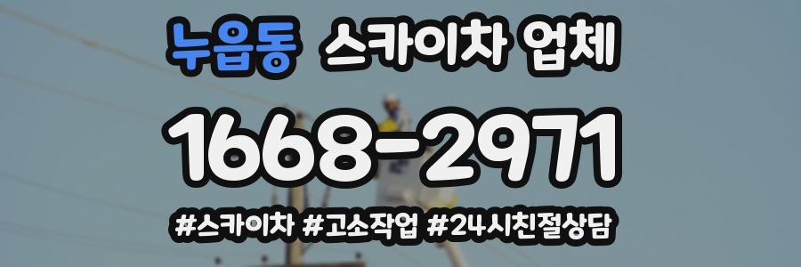 누읍동 스카이차 업체
