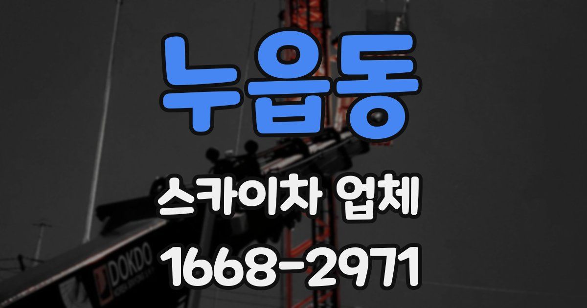 누읍동 스카이차 업체