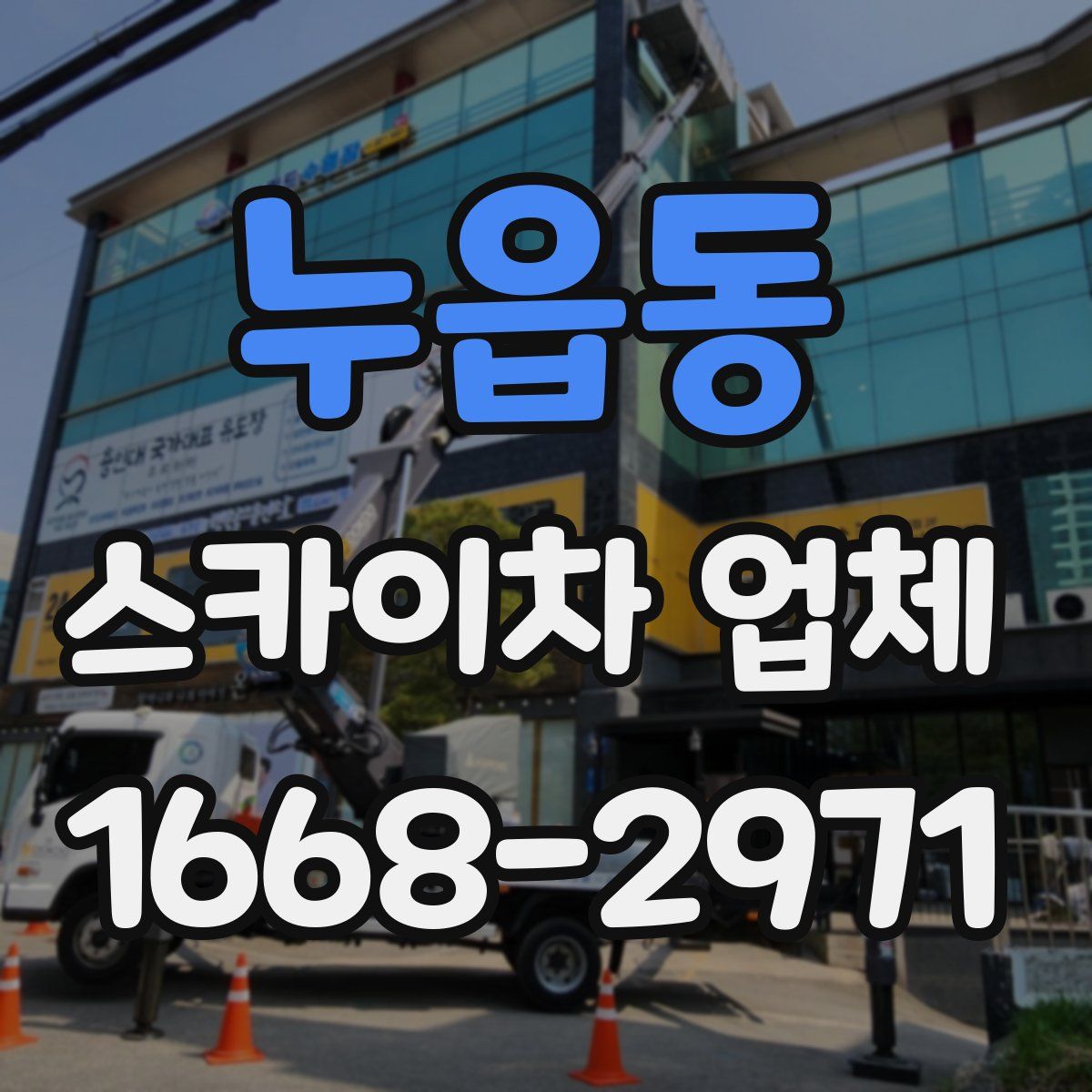 누읍동 스카이차 업체