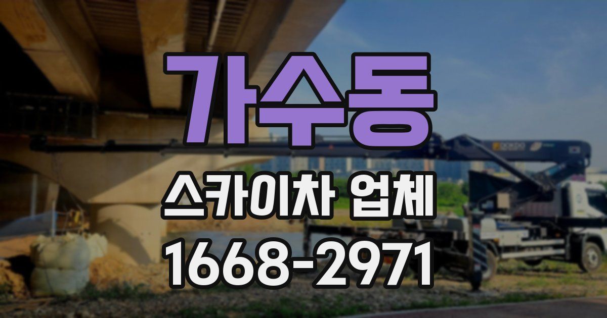 가수동 스카이차 업체
